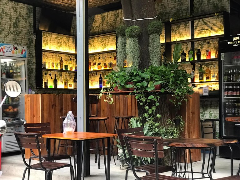Discover the Charm of Tree Bar