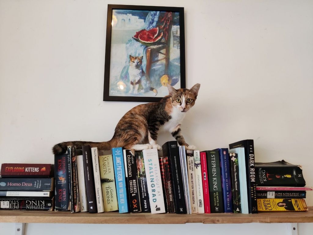  Cat Cafe