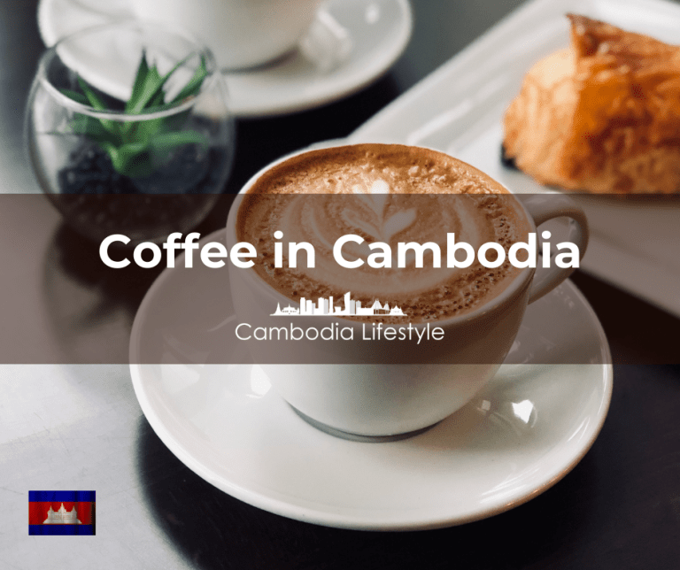 The Unique Brew: Discovering Coffee in Cambodia